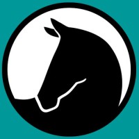 Save A Forgotten Equine