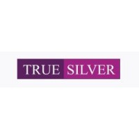 TrueSilver logo - Similar company to Agra Machine Tools Private Limited