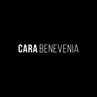 Cara Benevenia logo - Similar company to The Queen Of Ai