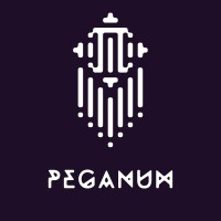 Peganum LLC logo - Similar company to Domouk