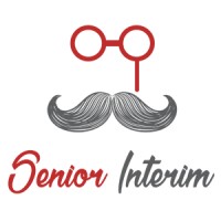 Senior interim logo - Similar company to Oj Engineering