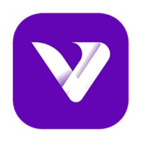 Vibez Technologies logo - Similar company to Finosync Corp