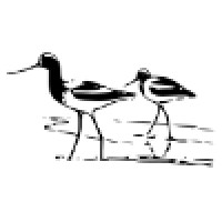 Avoceta Consulting
