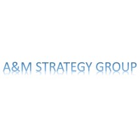 A&M Strategy Group, LLC