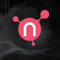 Netris logo - Similar company to Vesper Technologies