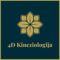 4D Kineziologija logo - Similar company to Algirdai Ltd