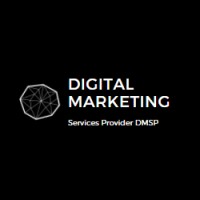 SEO Experts Pakistan logo - Similar company to Digital Apache