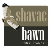 Shavac Bawn Consultancy logo - Similar company to Ipsus