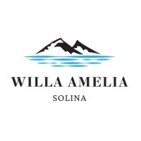 Willa Amelia Solina logo - Similar company to Smartline Technologies