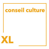 Conseil Culture XL logo - Similar company to Cinécubateur