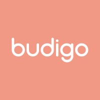 Budigo logo - Similar company to Pixelonics Tech Solutions