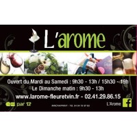 L AROME FLEURISTE CAVISTE logo - Similar company to Carbao Cholet
