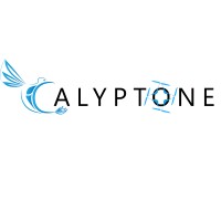 Calyptone logo - Similar company to Idrac Alumni