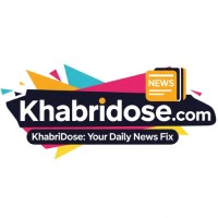 Khabri Dose Media Network logo - Similar company to Khabri.Org