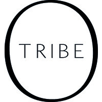 One Tribe Interactive logo - Similar company to Perspicuous
