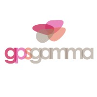 GpsGamma Navigation logo - Similar company to Bonee Systems Llc