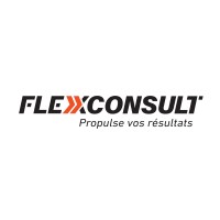 Services Conseils Flexconsult logo - Similar company to Voysis