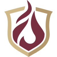 The Consulting Group at FSU logo - Similar company to Jetstream Analytics Inc