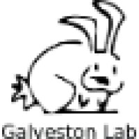 Galveston Srl