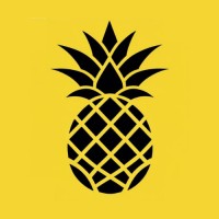 Pineapplix logo - Similar company to Cedemo