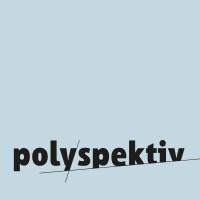 polyspektiv logo - Similar company to Gravity&Storm