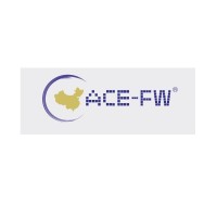 ACEFW Group Company Limited logo - Similar company to Beijing Mindslab Consulting Co., Ltd.