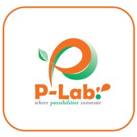 Possibility Laboratory (P-Lab.) logo - Similar company to Glm Coaching & Wellness
