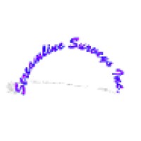 Streamline Surveys Inc logo - Similar company to Authentic Response Is Now Critical Mix