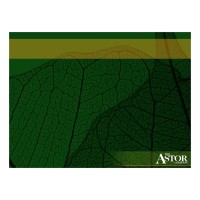 The Astor Company logo - Similar company to Nero Delta Inc.