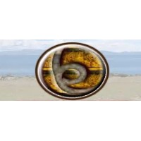 Inventarios Bolivia logo - Similar company to Conectacarga Bolivia