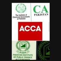 CA,ACCA,CPA,PFA ,CMA Information / jobs logo - Similar company to Verticsllc