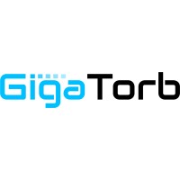 Gigatorb Software logo - Similar company to Thecoderway
