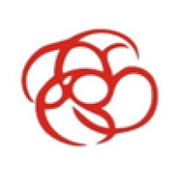 HNH Infotech & Consultancy Pvt Ltd logo - Similar company to Connamara