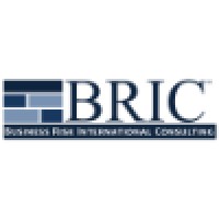 Business Risk International Consulting, Llc