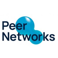 Peer Networks logo - Similar company to Peer