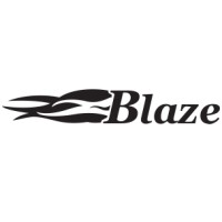 Blaze Telecommunications Inc. logo - Similar company to Blaze A Brilliant Path