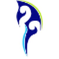 Team Trading Company
