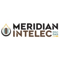 Meridian Intelec | Oil & Gas logo - Similar company to Meridian Engineering And Construction (Mec)