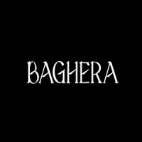 Baghera logo - Similar company to Baghera