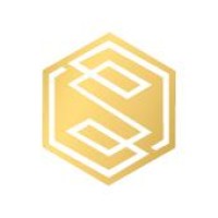 Symbolic Developments logo - Similar company to Verve Developments Llc