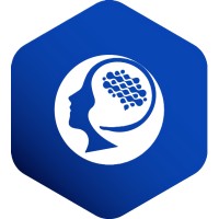 Raida - Consultoria de Dados logo - Similar company to Utk Data - Consultoria De Dados