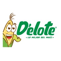 D'elote logo - Similar company to Delotech