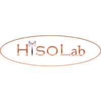 HISOLab logo - Similar company to Snaption