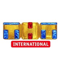 Tnt International