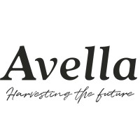 Avella Fındık San. Ltd.Şti. logo - Similar company to Avella