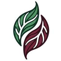 Mindful Living Choice logo - Similar company to Dr. Asya Grafy Bio Institute