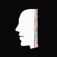 DeterminAI logo - Similar company to Npcx