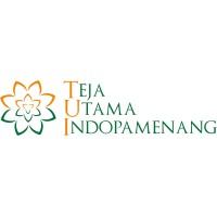 TUI Consulting logo - Similar company to Sap Consultants International