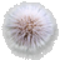 eCharcha logo - Similar company to Golfn