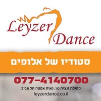Leyzer Dance Studio logo - Similar company to Soluna-Ai
